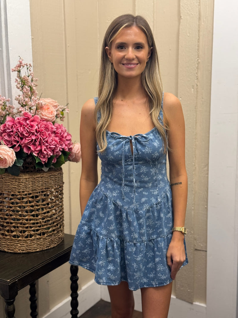 Sophia Denim Mini Dress