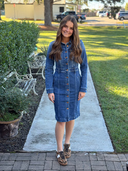 The Resa Denim Shirt Dress