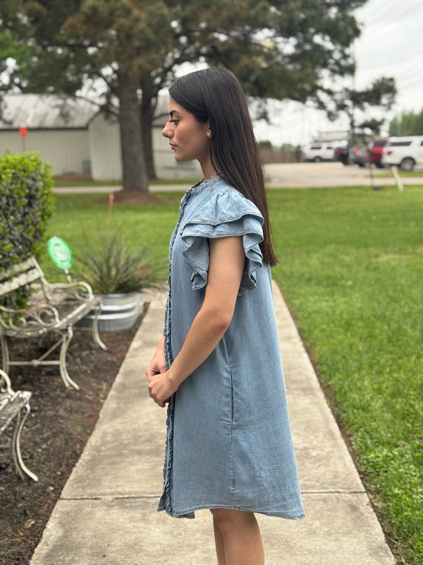Bria Denim Dress