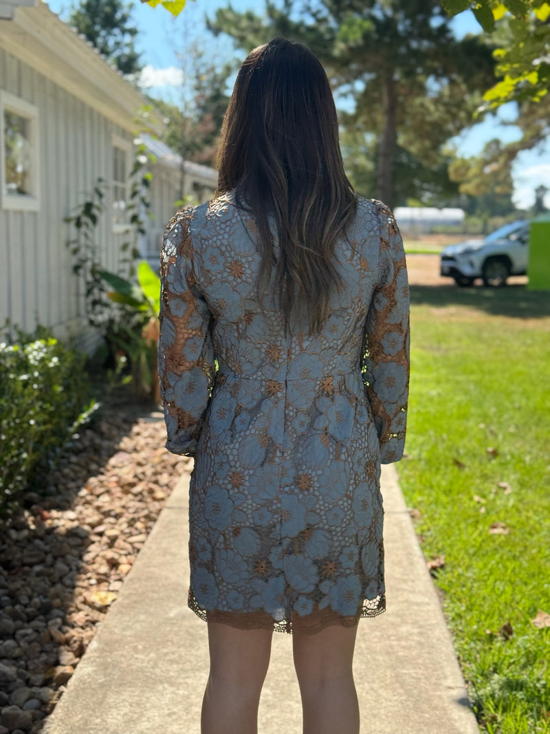 Hailey Embroidered Mini Dress