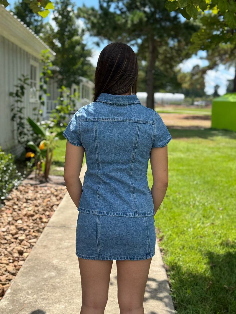 Willa Low Waist Denim Skirt