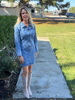 Andrea Long Sleeve Denim Shirt Dress