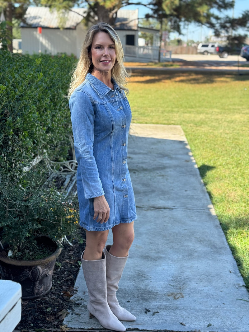 Andrea Long Sleeve Denim Shirt Dress