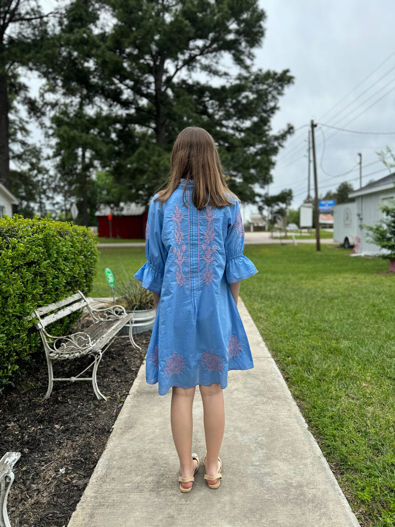Embroidered Fit and Flair Dress