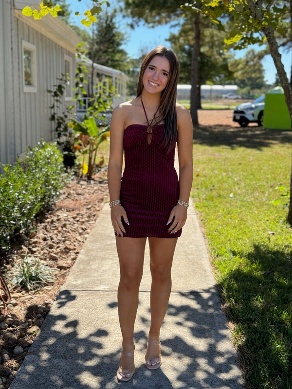 Hannah Burgundy Velvet Mini Dress