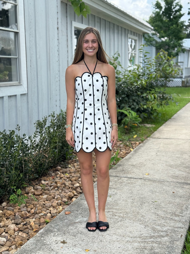 mini polka dot halter dress Karolie Halter Plunge Mini Dress Brown | Blue Polka Dot | Brown | Blue Polka Dot | Womens