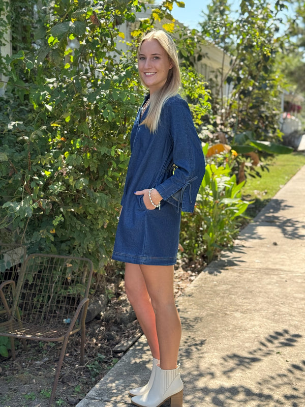 Julia Denim Dress