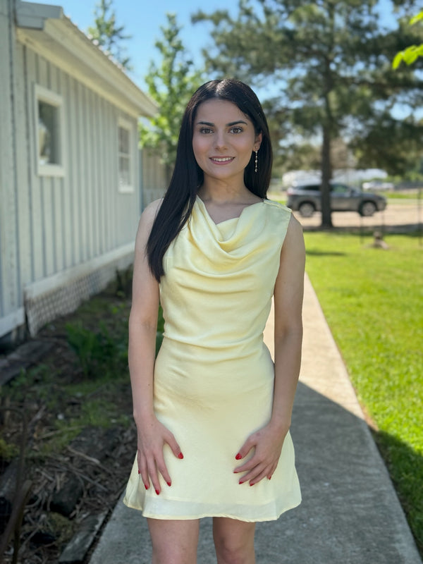 Charlotte Dress