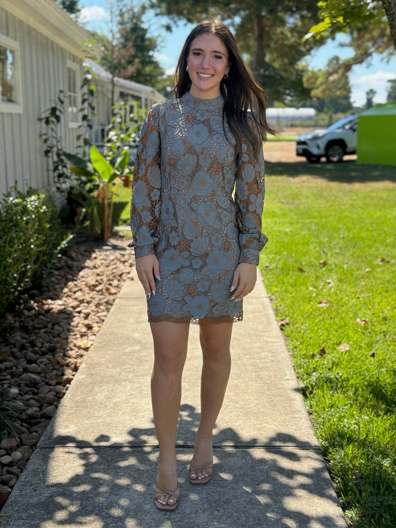 Hailey Embroidered Mini Dress