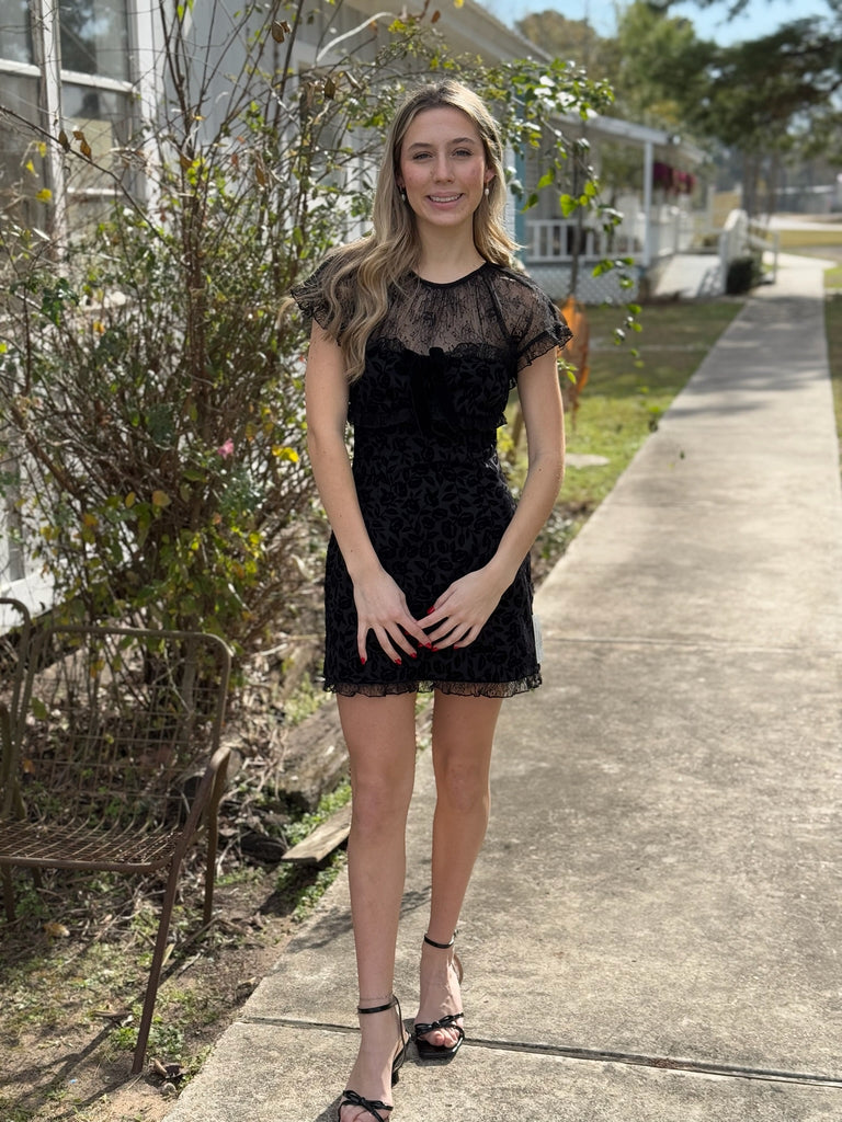 Midnight Velvet Mini Dress – Cactus Flower