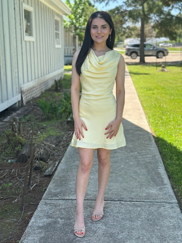 Charlotte Dress