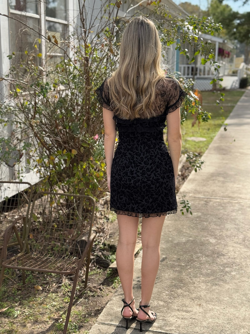 Midnight Velvet Mini Dress  Cactus Flower