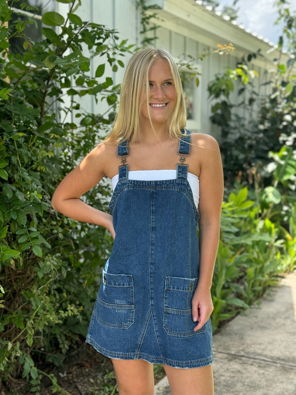 Haley Denim Overall Mini Dress