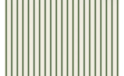 Green Ribbon Stripe Placemat