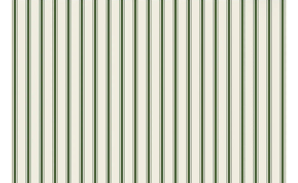 Green Ribbon Stripe Placemat