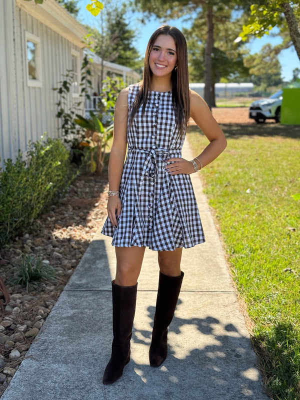 Lilah Gingham Mini Swing Dress