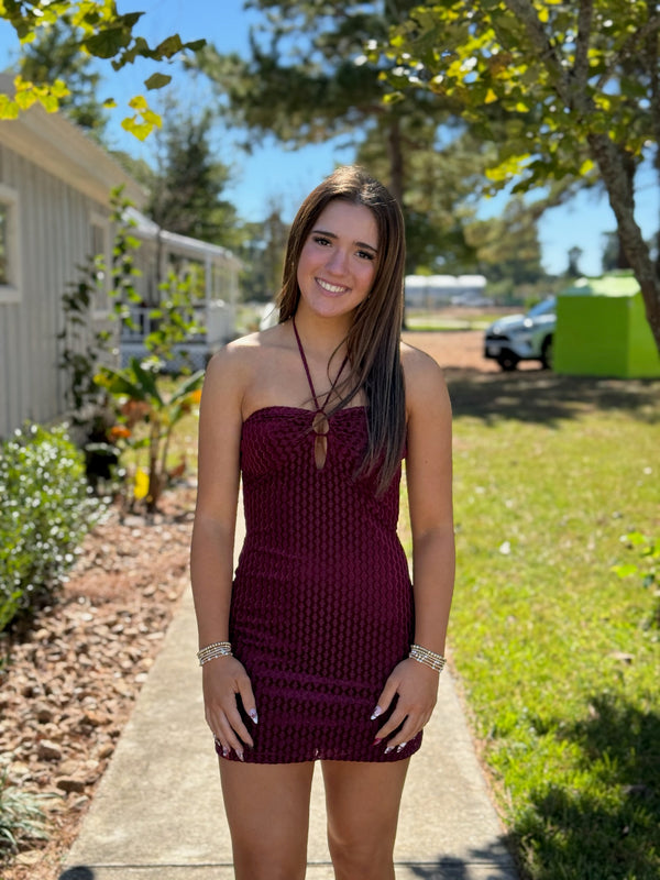 Hannah Burgundy Velvet Mini Dress