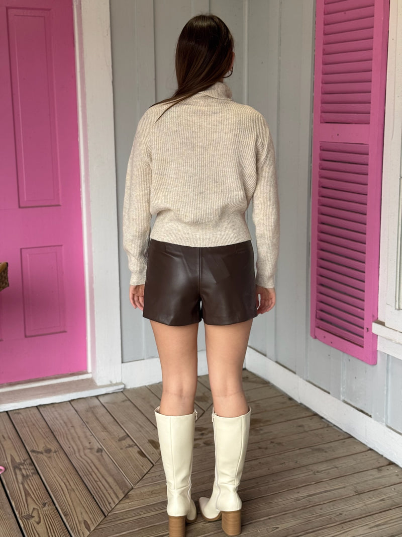 Skylar Faux Leather Shorts