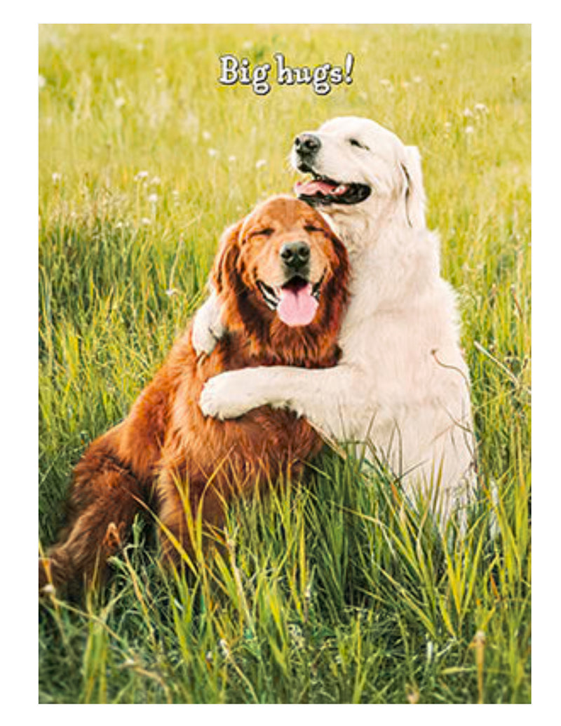 GOLDEN RETRIEVER FRIENDS