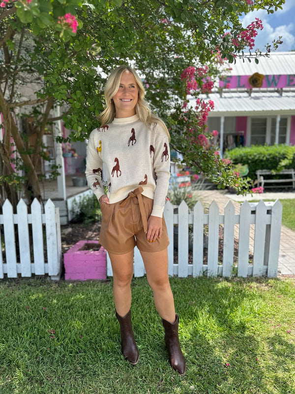 Horse Pattern Sweater