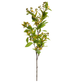 37" Yellow Mountain Laurel Spray