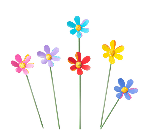 Colorful Daisies - SET of 6