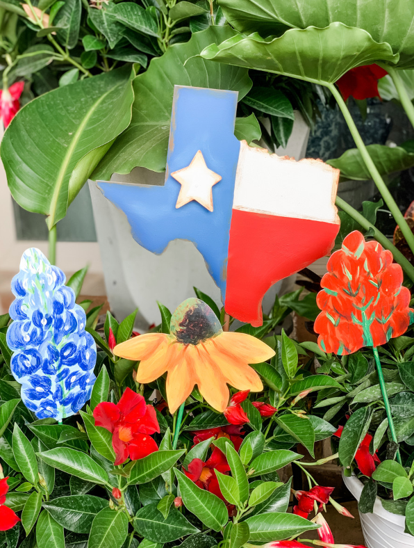 Texas Flag