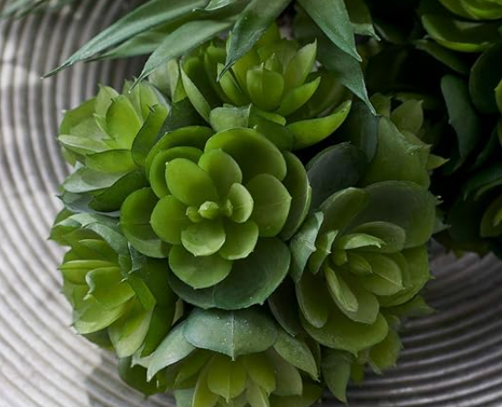 succulent with balls 4 Inch Succulent Ball – Cactus Flower
