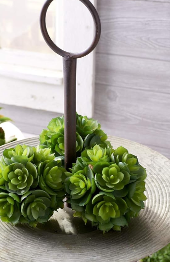 succulent balls 4 Inch Succulent Ball – Cactus Flower