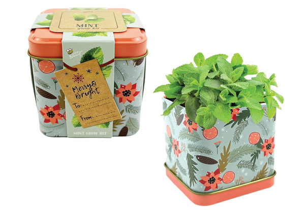 Holiday Square Tin - Mint