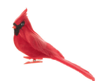 Feather cardinal clip on ornament, 6 in