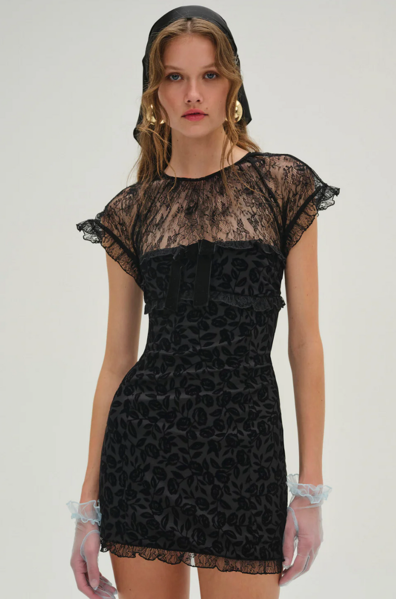 midnight velvet dresses on sale Midnight Velvet Mini Dress – Cactus Flower