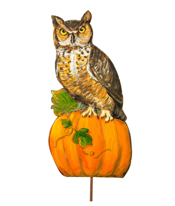 Hoot Owl On A Pumpkin