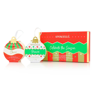 Holiday Ornament Gift Set - Celebrate the Season