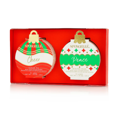 Holiday Ornament Gift Set - Celebrate the Season