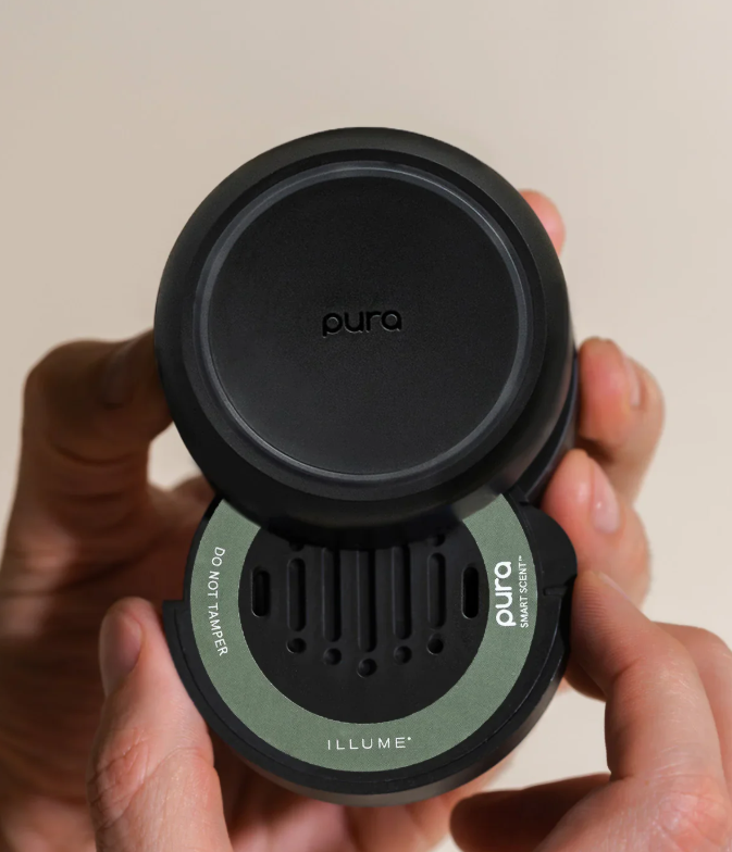 Balsam & Cedar V2 - Car