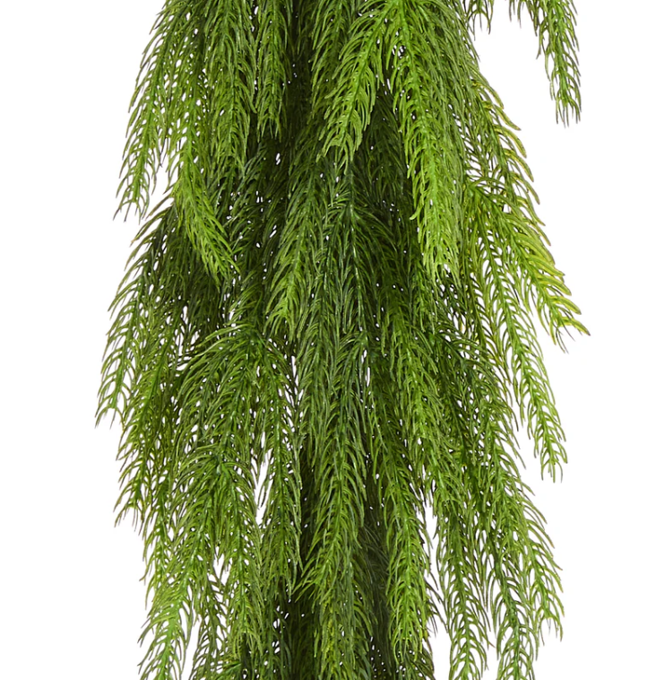 6' Norfolk Pine Garland