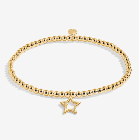 CHRISTMAS A LITTLE | SECRET SANTA | Gold- Tone Plated | Bracelet