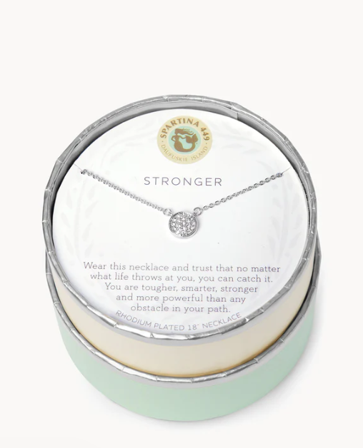 SLV Necklace 18” Stronger/Pave Disk Silver