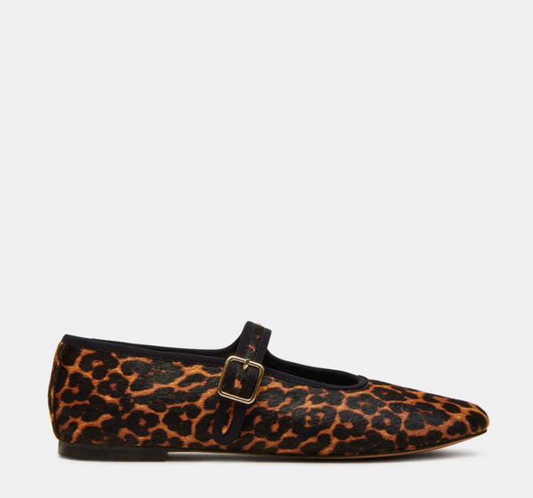 Dreaming - Leopard