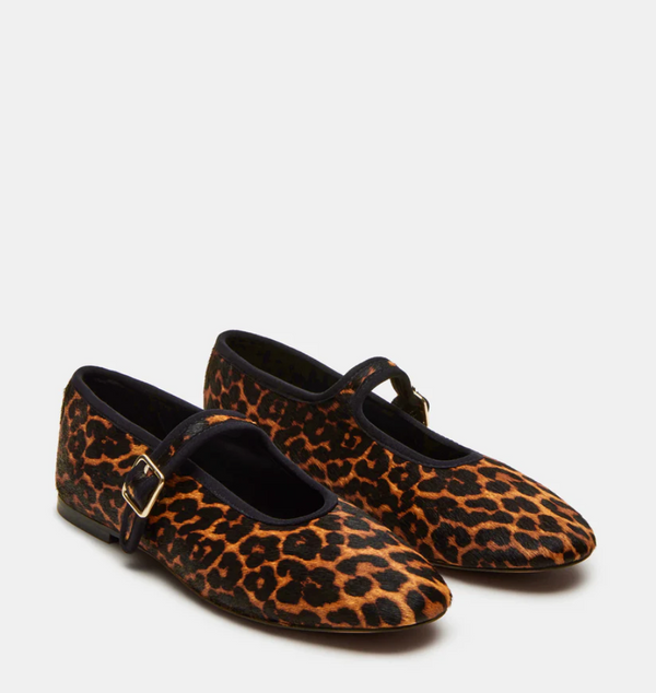 Dreaming - Leopard