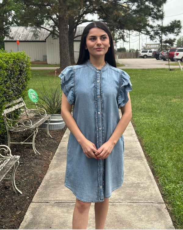 Bria Denim Dress