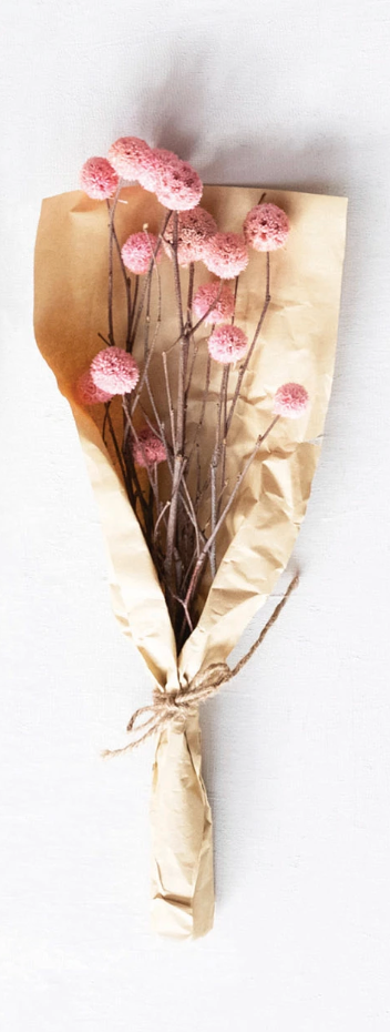 Dried Natural Globe Thistle Bunch Pink