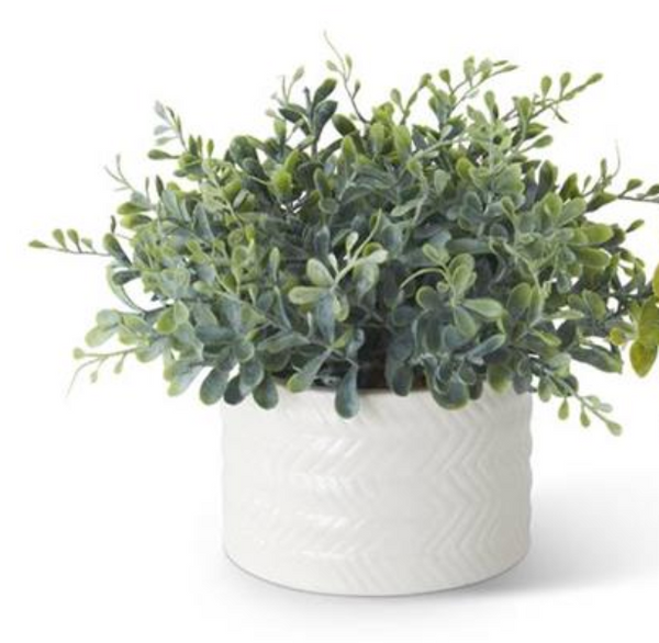 7.25 Inch Eucalyptus in Ribbed White Ceramic Vase 1