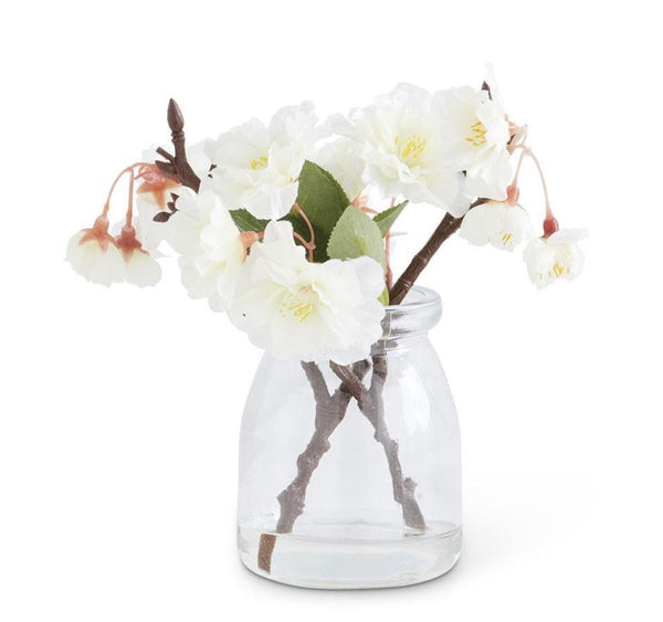 6.5 Inch Cream Cherry Blossom in Glass Jar