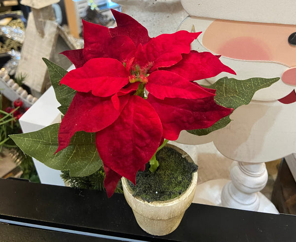 Potted Poinsettia with Wood Tray 1